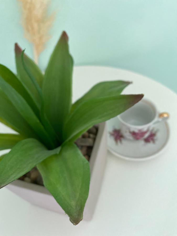 Hisa Megiclinic - Apartments & Healing Center コバリード エクステリア 写真