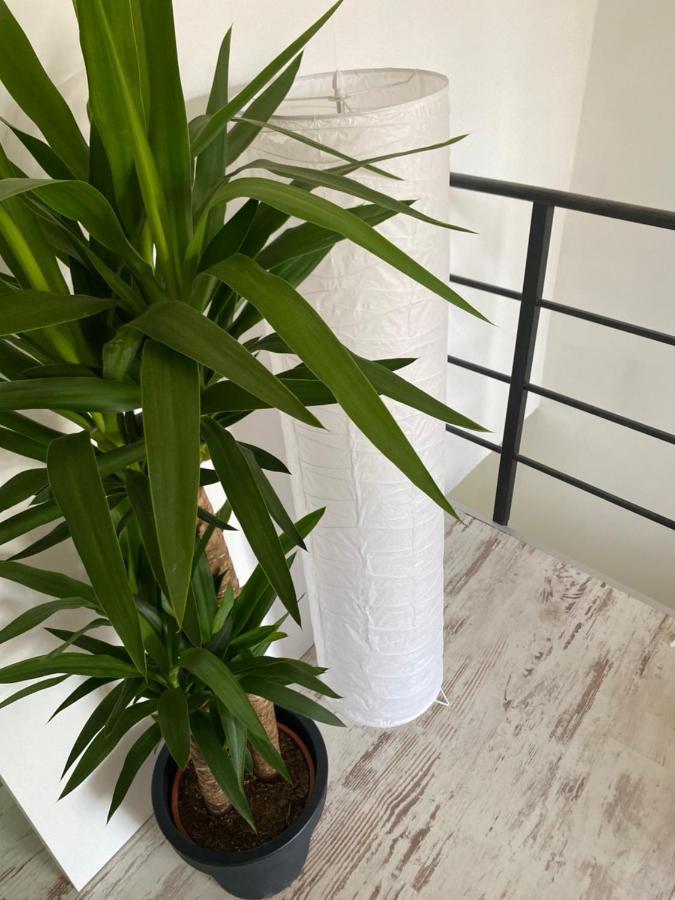 Hisa Megiclinic - Apartments & Healing Center コバリード エクステリア 写真