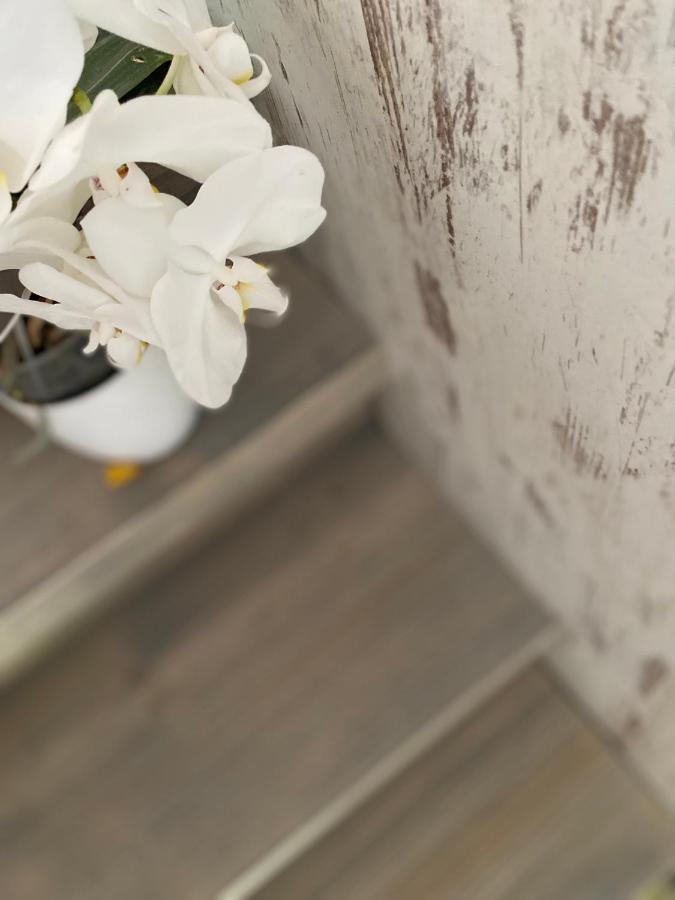 Hisa Megiclinic - Apartments & Healing Center コバリード エクステリア 写真