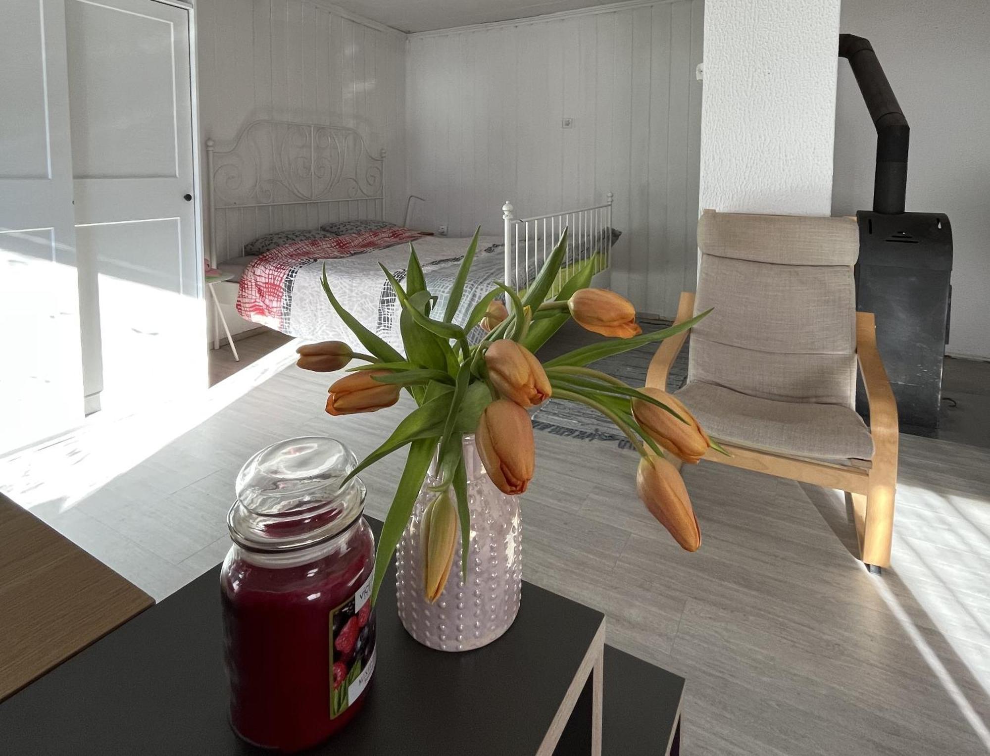 Hisa Megiclinic - Apartments & Healing Center コバリード エクステリア 写真