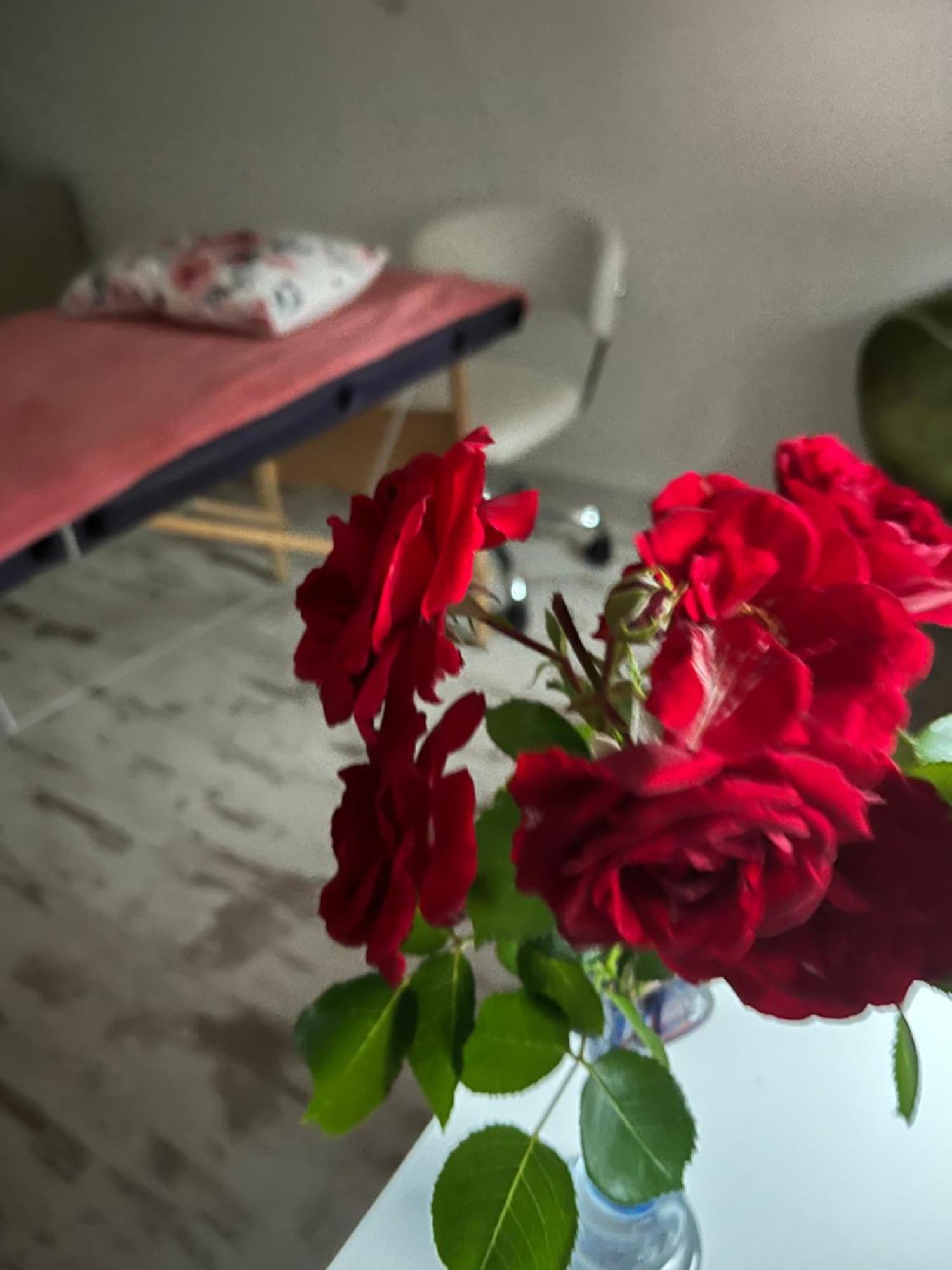 Hisa Megiclinic - Apartments & Healing Center コバリード エクステリア 写真