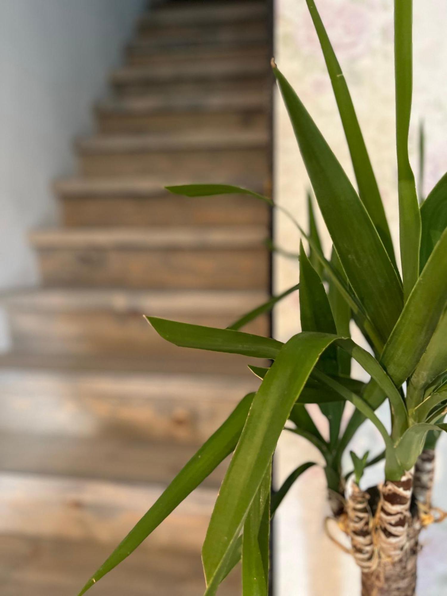 Hisa Megiclinic - Apartments & Healing Center コバリード エクステリア 写真